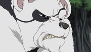 Kintoki mugshot