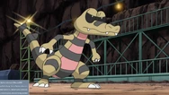 Clay Krokorok
