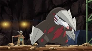 Clay Excadrill