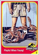 TrexBabiesCard