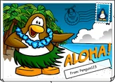 Aloha Postcard