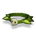 Green Piwi Belt