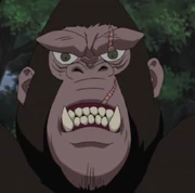 King anime