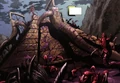Thumbnail for version as of 19:24, January 7, 2012