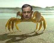 Krabs