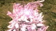 Type 0 Caetuna Crystalized
