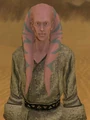 Gotan.jpg