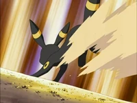 EP514 Umbreon de gary usando ataque arena