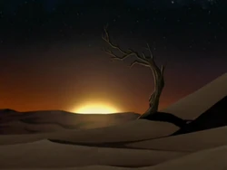 Desert sunset
