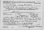 Winblad-Anton 1942 draft