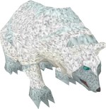 Arctic bear