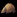 IconSmall Armadillo.gif