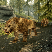 2sabrecats