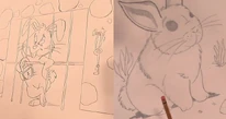 Bunny drawings imhl239