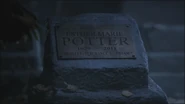 Pottergrave