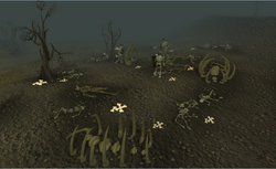 Bone Yard current