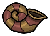 Conch Shell Pin