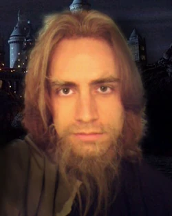 Harry Potter Small