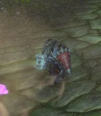 Image of Twilight Earthbinder