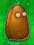 Cardboard Tall-nut