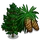 Norway Spruce Tree-icon