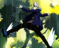 Pegasus Wings (Anime)
