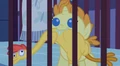 Pumpkin Cake and her chicken S2E13.png