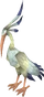 Ibis