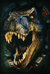 Tlw poster 2