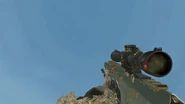 RSASS Gold MW3