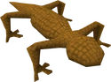 Orangesalamander