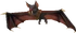 Vampire bat
