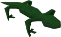 Swamp lizard wild