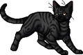 Darkstripe.apprentice