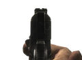WaW M1911 Ironsights