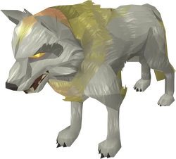 Sköll