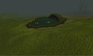 WildernessOasis