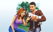 Ts3p slider