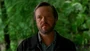 Tom mcbeath.jpg