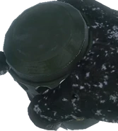 Decoy view