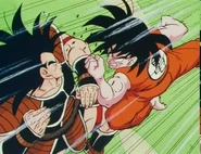 Raditz vs Goku