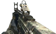 FAD Multicam MW3
