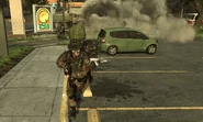 Inv1