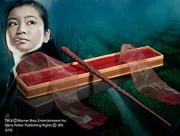 NN7831-chang-wand