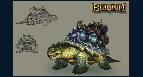 1200x650 Tortoise