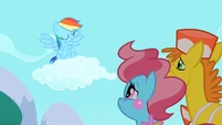 Rainbow Dash shaking her head S2E13
