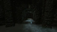 Riften (9)