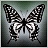 Crest-Butterfly