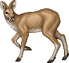 Cervinus Deer Adult Male.gif