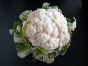Cauliflower2